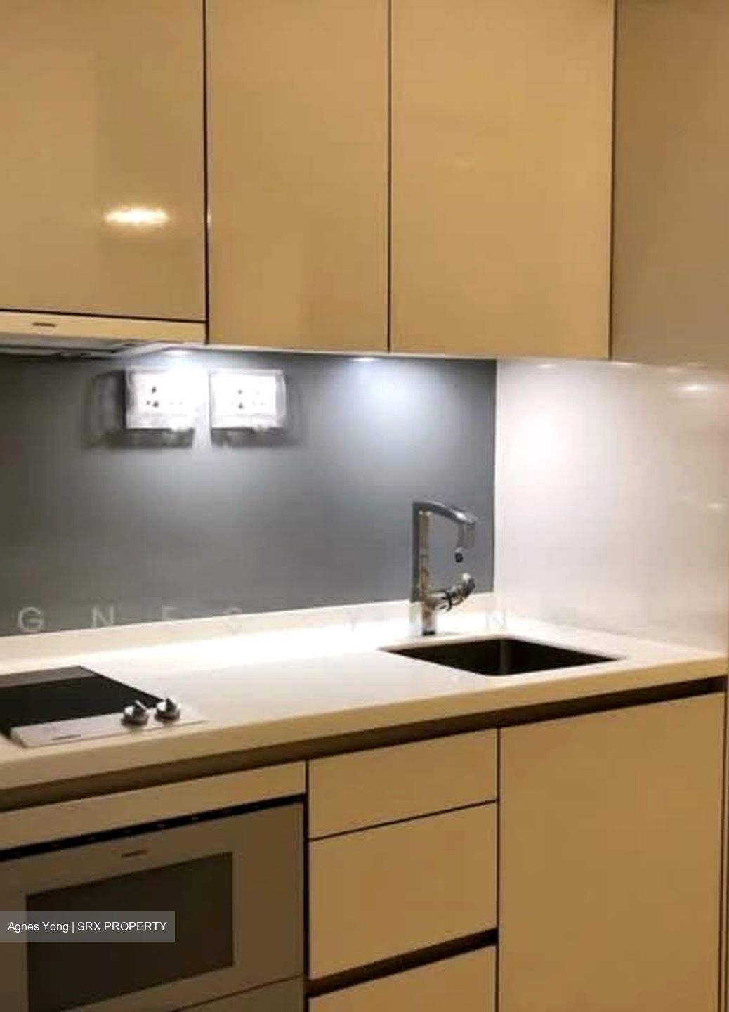 V On Shenton (D1), Apartment #563599981